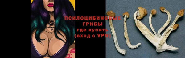 наркотики Новозыбков