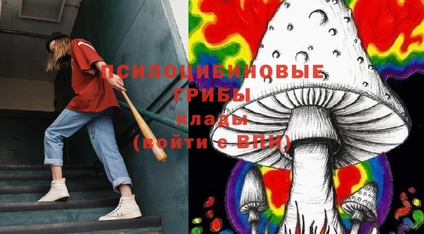 амф Абинск